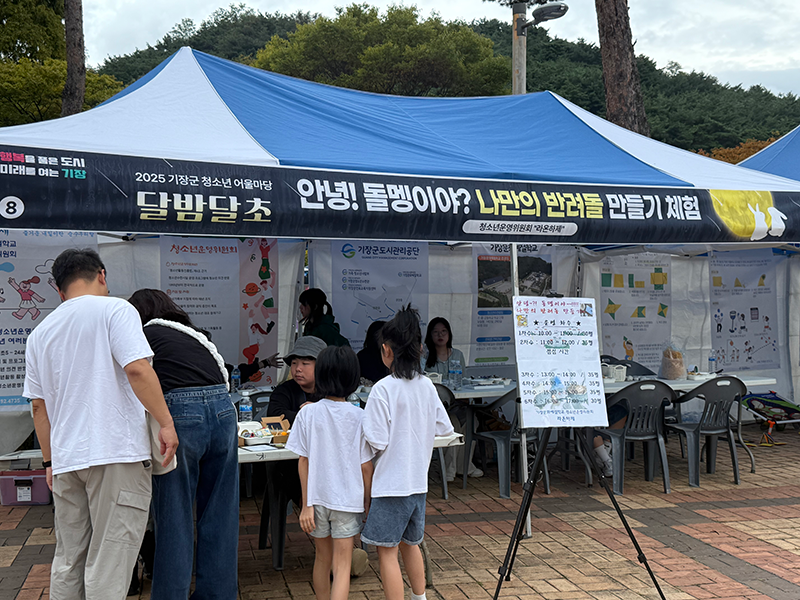 ������� Ȱ���̹���